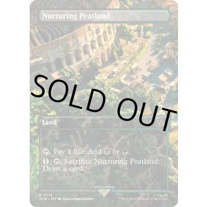 画像: 『ボーダーレス』『英語版』育成泥炭地/Nurturing Peatland