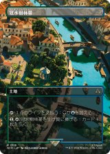 画像: 【ボーダーレス】【日本語版】冠水樹林帯/Waterlogged Grove