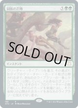 画像: 【日本語版】同族の召喚/Kindred Summons
