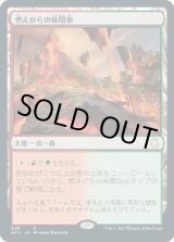 画像: 【日本語版】燃えがらの林間地/Cinder Glade