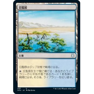 画像: 【日本語版】氾濫原/Flood Plain
