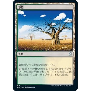 画像: 【日本語版】草原/Grasslands