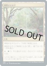 画像: 【日本語版】興隆する木立/Thriving Grove