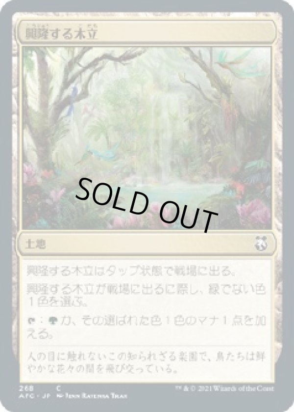 画像1: 【日本語版】興隆する木立/Thriving Grove (1)
