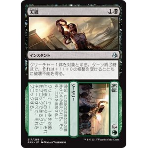 画像: 【日本語版】天導+先導/Destined+Lead