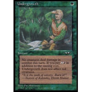 画像: 『英語版』Undergrowth(A)