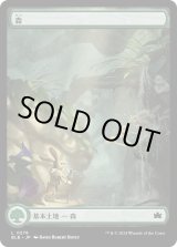 画像: 【四季】【日本語版】森/Forest No.0278