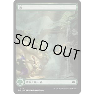 画像: 【四季】【日本語版】森/Forest No.0278