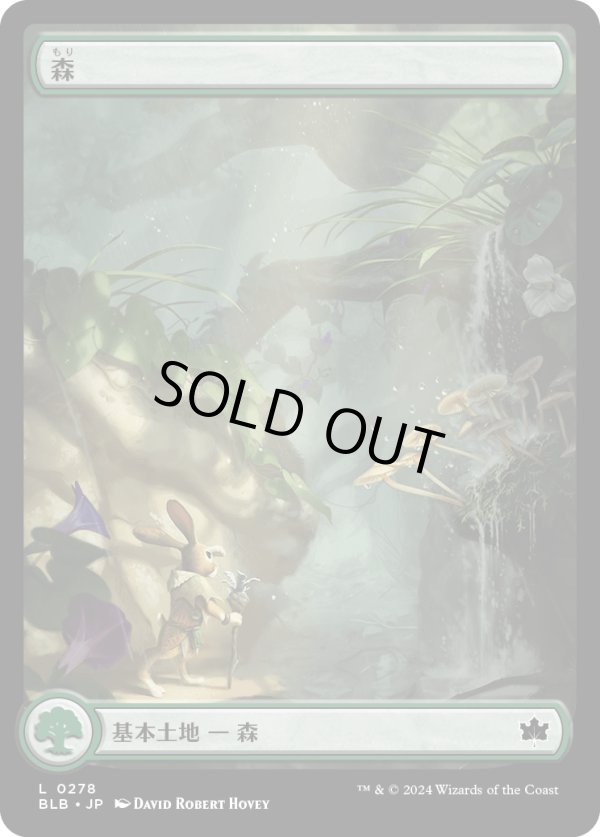 画像1: 【四季】【日本語版】森/Forest No.0278 (1)