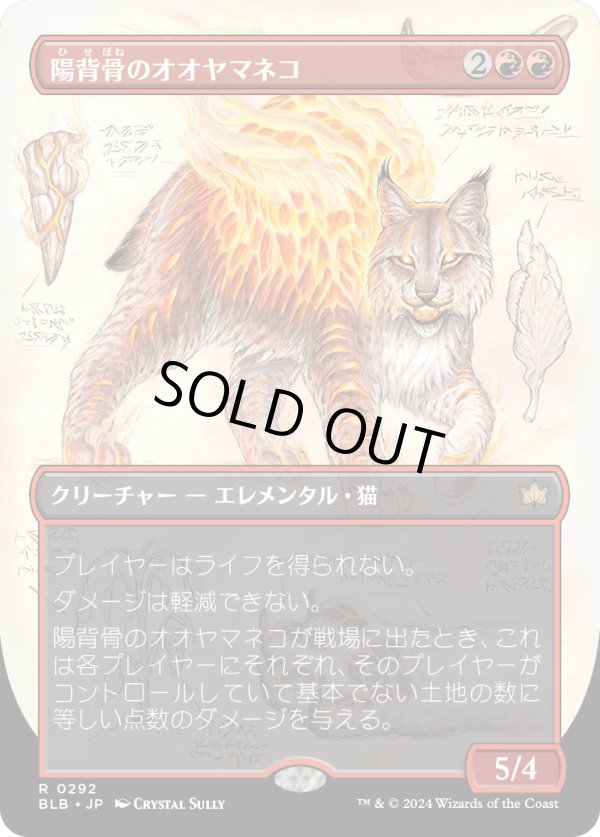 画像1: 【ボーダーレス】【日本語版】陽背骨のオオヤマネコ/Sunspine Lynx (1)