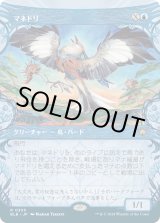 画像: 【ショーケース】【日本語版】マネドリ/Mockingbird