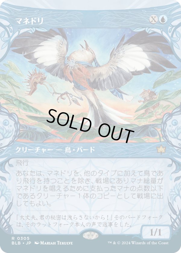 画像1: 【ショーケース】【日本語版】マネドリ/Mockingbird (1)