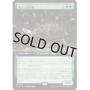 画像: 【拡張枠】【日本語版】肥えた緑甲羅/Fecund Greenshell