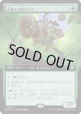 画像: 【Foil】【日本語版】【拡張枠】茨越えの餌あさり/Thornvault Forager