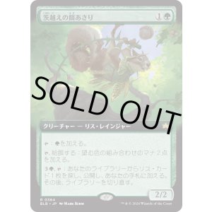 画像: 【Foil】【日本語版】【拡張枠】茨越えの餌あさり/Thornvault Forager