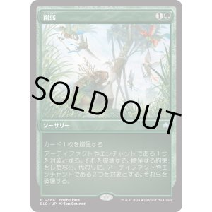 画像: 【プロモパック】【日本語版】削弱/Wear Down