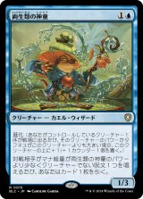 画像: 【日本語版】両生類の神童/Pollywog Prodigy