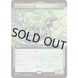 画像: 【Foil】【拡張枠】【日本語版】どっきりドングリ団/The Odd Acorn Gang