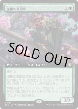 画像: 【拡張枠】【日本語版】血根の薬剤師/Bloodroot Apothecary