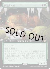 画像: 【日本語版】【拡張枠】常緑皮の熊/Evercoat Ursine