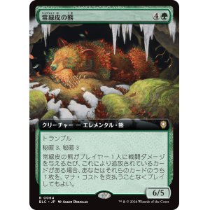画像: 【拡張枠】【日本語版】常緑皮の熊/Evercoat Ursine