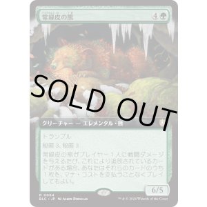 画像: 【日本語版】【拡張枠】常緑皮の熊/Evercoat Ursine