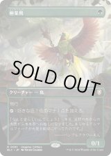画像: 【Foil】【ボーダーレス】【日本語版】極楽鳥/Birds of Paradise