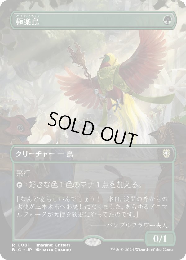 画像1: 【ボーダーレス】【日本語版】極楽鳥/Birds of Paradise (1)
