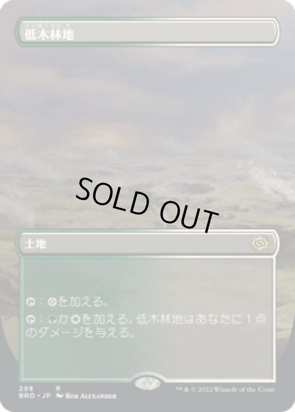 画像1: 【ボーダーレス】【日本語版】低木林地/Brushland (1)