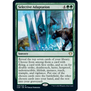 画像: 『英語版』選択的順応/Selective Adaptation