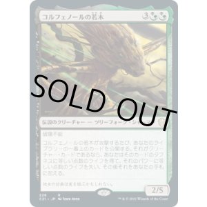 画像: 【日本語版】コルフェノールの若木/Sapling of Colfenor