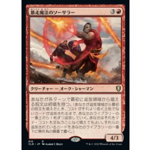 画像: 【日本語版】暴走魔法のソーサラー/Wild-Magic Sorcerer