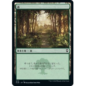 画像: 【日本語版】森/Forest