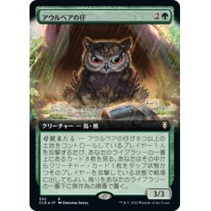 画像: 【拡張枠】【日本語版】アウルベアの仔 /Owlbear Cub