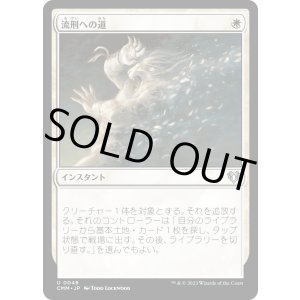 画像: 【日本語版】流刑への道/Path to Exile