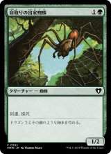 画像: 【日本語版】命取りの出家蜘蛛/Deadly Recluse