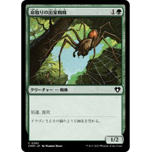 画像: 【日本語版】命取りの出家蜘蛛/Deadly Recluse