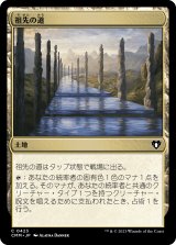 画像: 【日本語版】祖先の道/Path of Ancestry