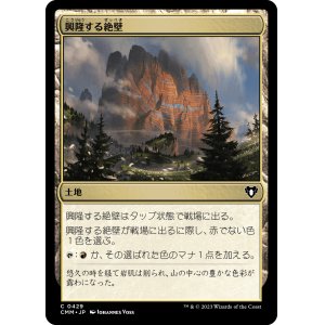 画像: 【日本語版】興隆する絶壁/Thriving Bluff