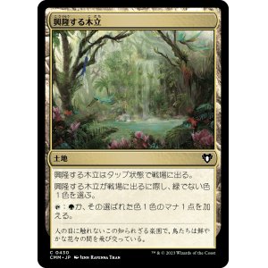 画像: 【日本語版】興隆する木立/Thriving Grove