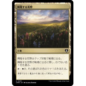 画像: 【日本語版】興隆する荒野/Thriving Heath