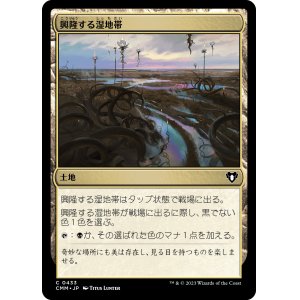 画像: 【日本語版】興隆する湿地帯/Thriving Moor