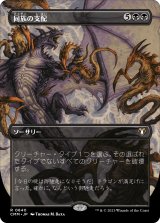 画像: 【ボーダーレス】【日本語版】同族の支配/Kindred Dominance