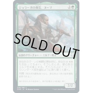 画像: 【日本語版】ジョラーガの酋長、ヌーマ/Numa, Joraga Chieftain