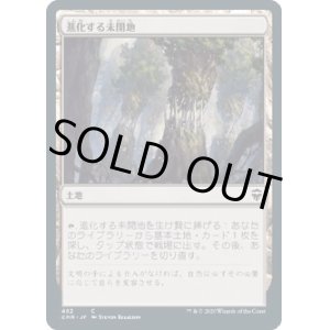 画像: 【日本語版】進化する未開地/Evolving Wilds