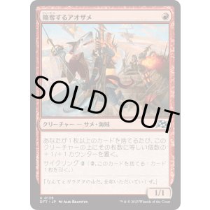 画像: 【Foil】【日本語版】略奪するアオザメ/Marauding Mako