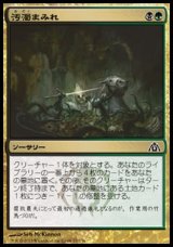 画像: 【日本語版】汚濁まみれ/Drown in Filth