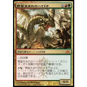 画像: 【日本語版】野蛮生まれのハイドラ/Savageborn Hydra