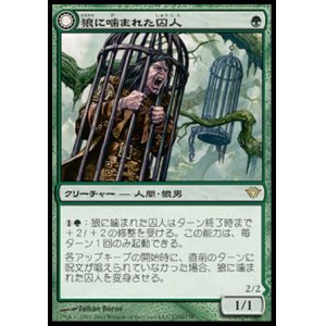 画像: 【日本語版】狼に噛まれた囚人/爪の群れの殺人者/Wolfbitten Captive/Krallenhorde Killer