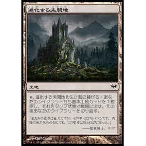 画像: 【日本語版】進化する未開地/Evolving Wilds